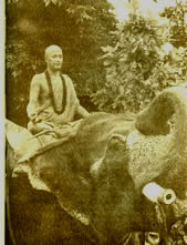 foto1