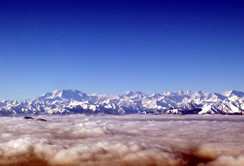 sharma